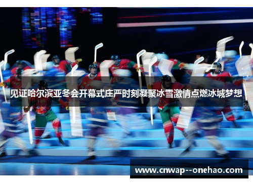 见证哈尔滨亚冬会开幕式庄严时刻凝聚冰雪激情点燃冰城梦想