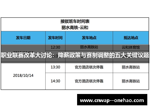 职业联赛改革大讨论：降薪政策与赛制调整的五大关键议题