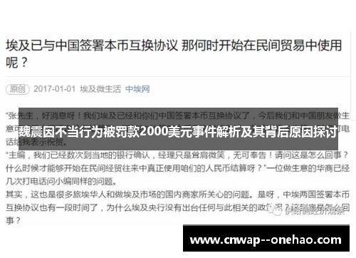 魏震因不当行为被罚款2000美元事件解析及其背后原因探讨